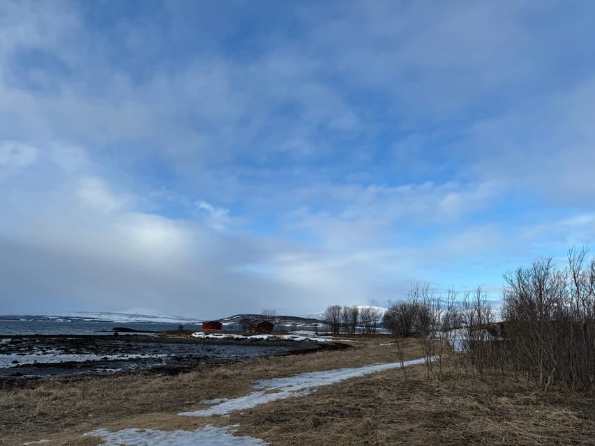 Arctic Nature Tour in Kvaløya With Hot Food and Drinks - Participant Guidelines