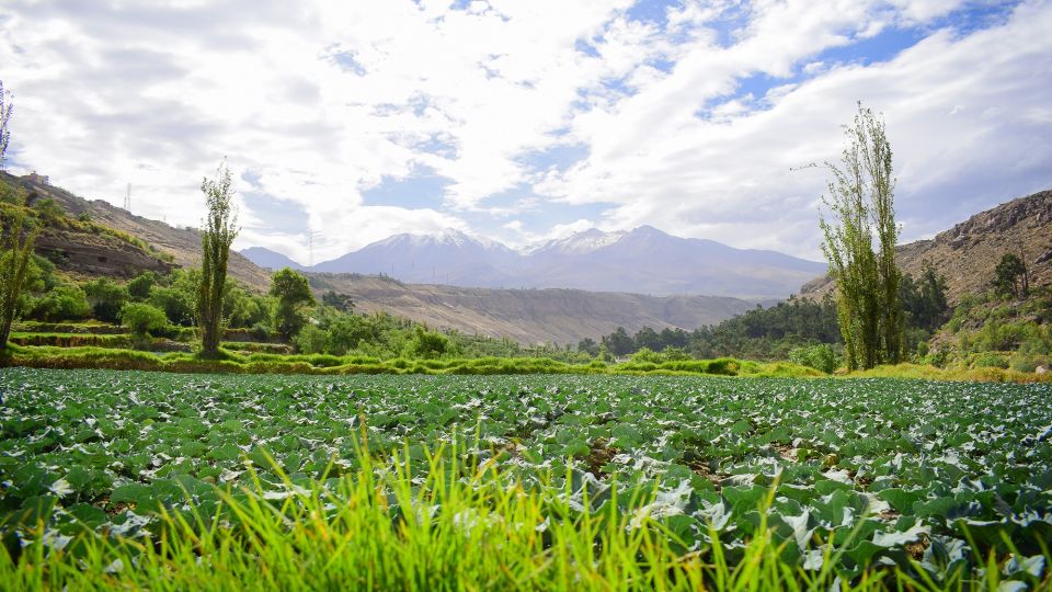 Arequipa: City Tour With Panoramic Bus - Important Information