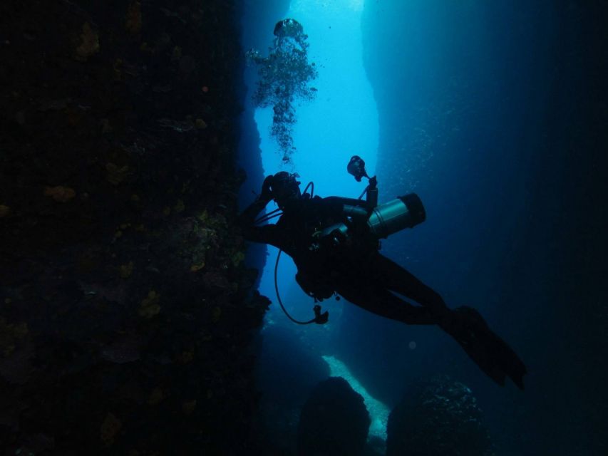 Athens: Adventure Dives in Nea Makri for Certified Divers - Requirements for Divers