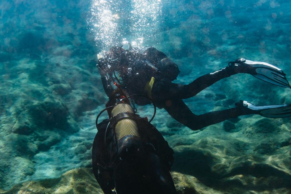 Atlántico Museum: Scuba Dive Lesson for Non-Certified Divers - Participant Restrictions