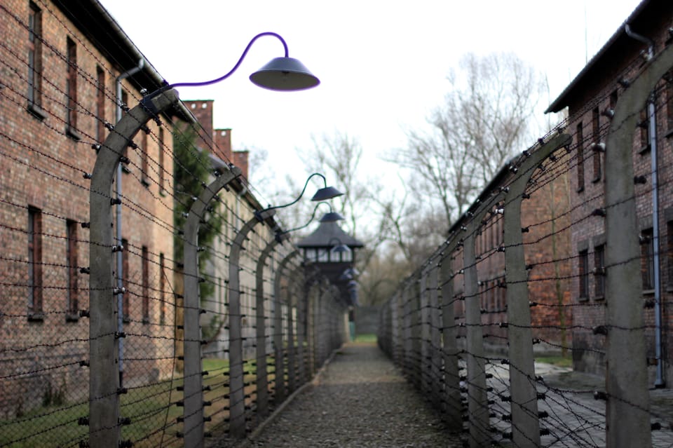 Auschwitz-Birkenau Full-Day Tour From Lodz by Private Car - Accessibility Features