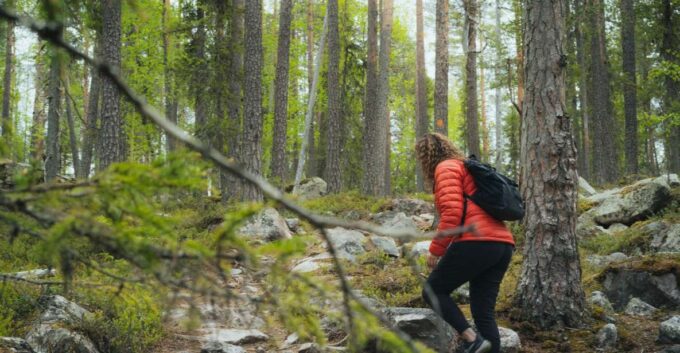 Auttiköngäs Hiking Experience - What to Expect