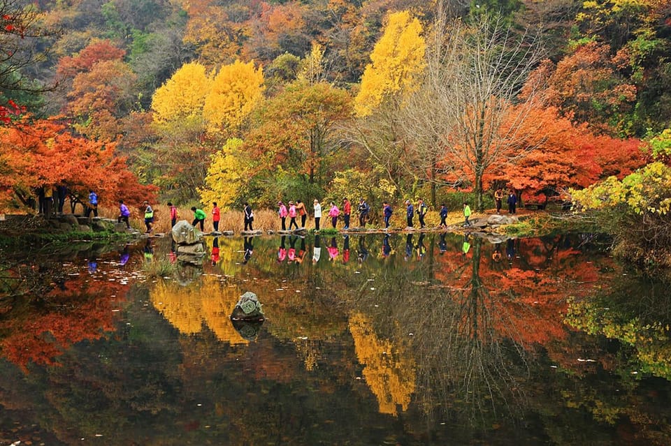 Autumn Foliage - Mt. Naejang + Jeonju Hanok Village - Reservation and Cancellation Policy