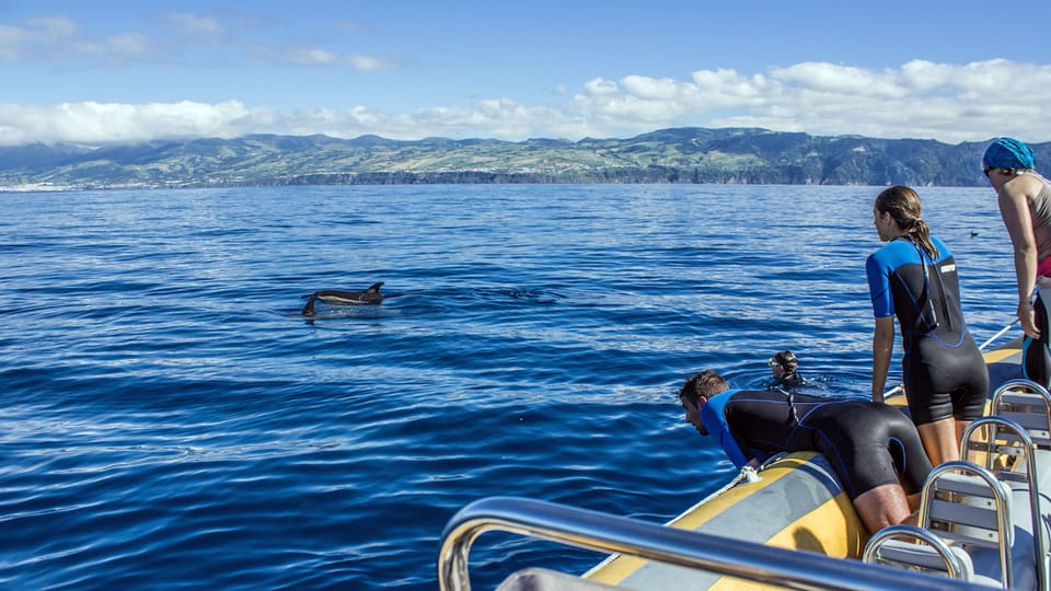 Azores: Swim With Dolphins Atlantic Experience - Provided Equipment