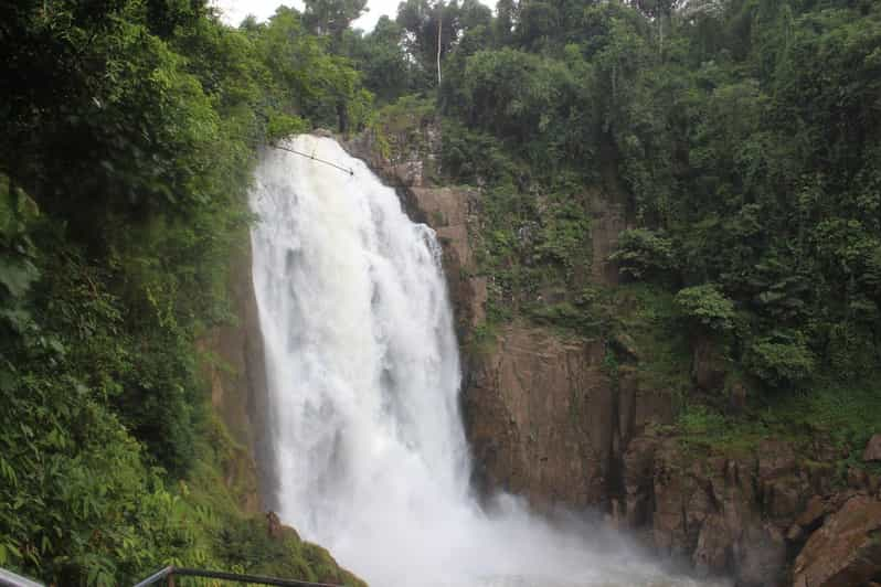 Back to Nature Trekking and Hiking at Khao Yai National Park - Exploring Khao Yais Diverse Fauna