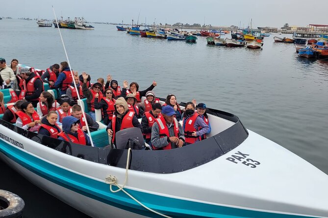 Ballestas Islands + Sandboarding at Huacachina - Private Tour! - Inclusions and Logistics