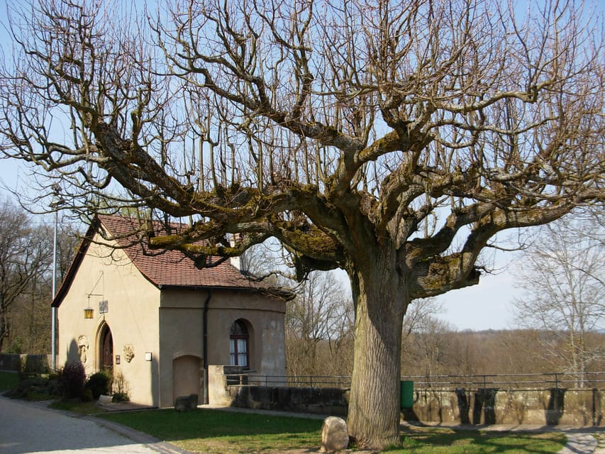 Bamberg: Altenburg Castle Tour - Tour Language and Inclusions