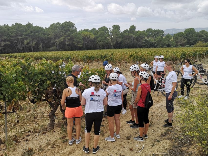 Barcelona: Bike & Wine Guided Tour - Penedès Vineyards - Exploring Penedès Vineyards