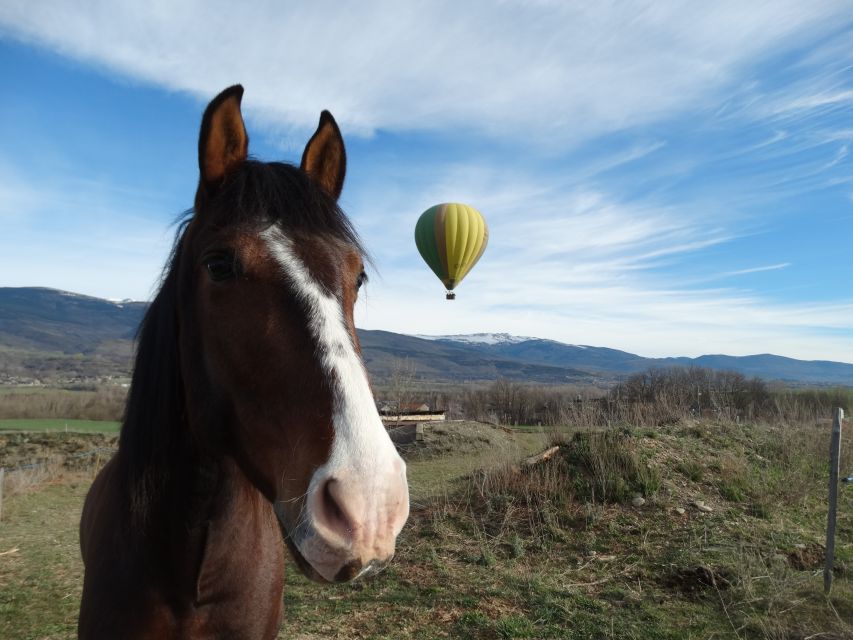 Barcelona: Hot Air Balloon Ride - Customer Reviews