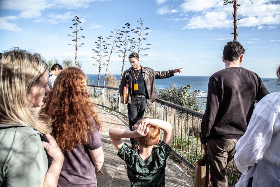 Barcelona: Montjuïc Walking Tour With Optional Flamenco Show - Exploring Montjuïc Gardens