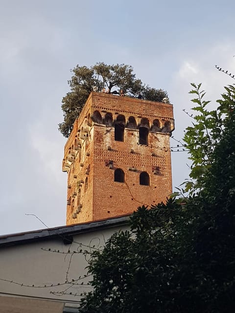 BASIC Lucca: Guided Tour of the Historic Center - Tour Inclusions