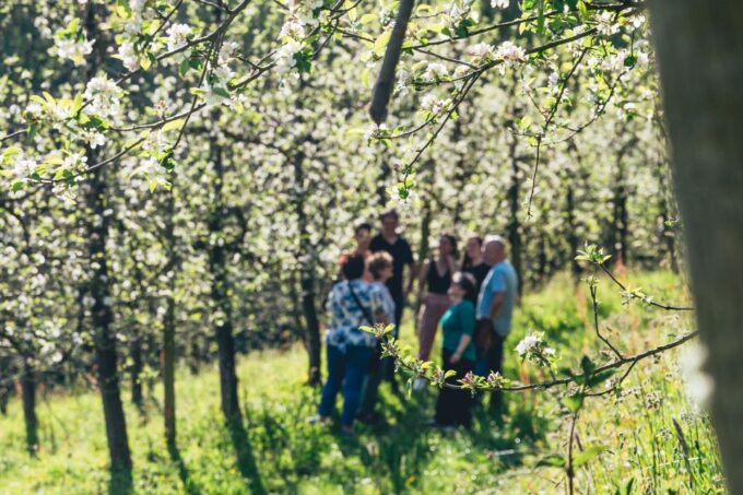 Basque Press Farm and Traditional Cider House With Transport - Indulging in Traditional Lunch