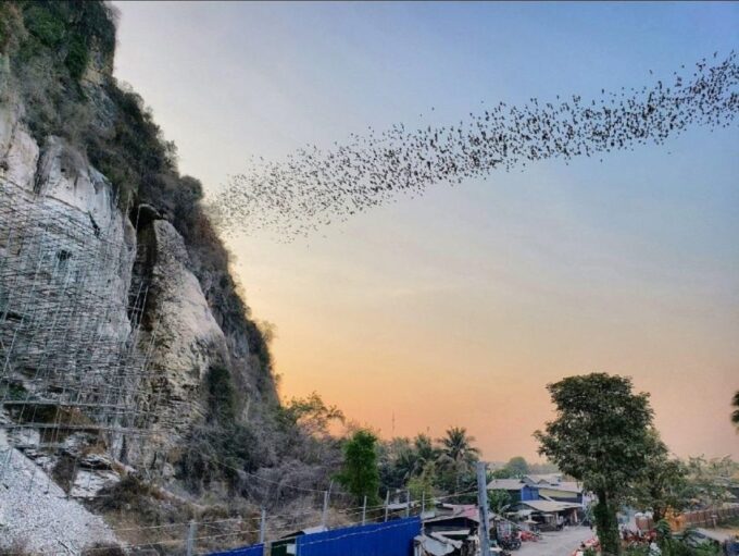 Battambang Tours Full Day-From Siemreap - Reservation and Cancellation