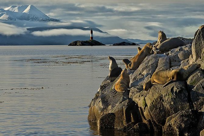 Beagle Channel Navigation on Yacht - Accessibility and Confirmation