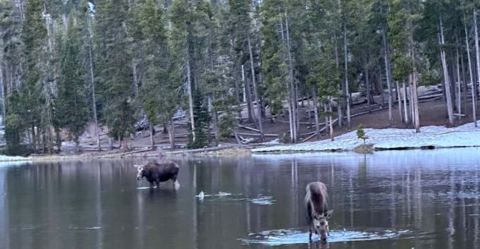 Bear Lake Corridor - Important Information to Know