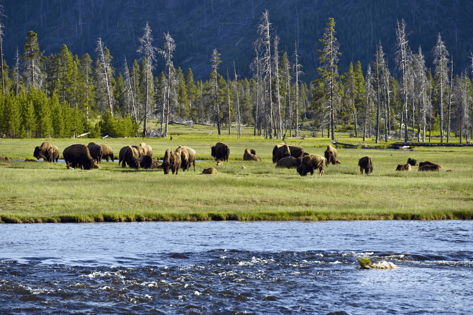 Beartooth Highway: Breathtaking Mountain Driving Tour - Expansive Views From Lookout