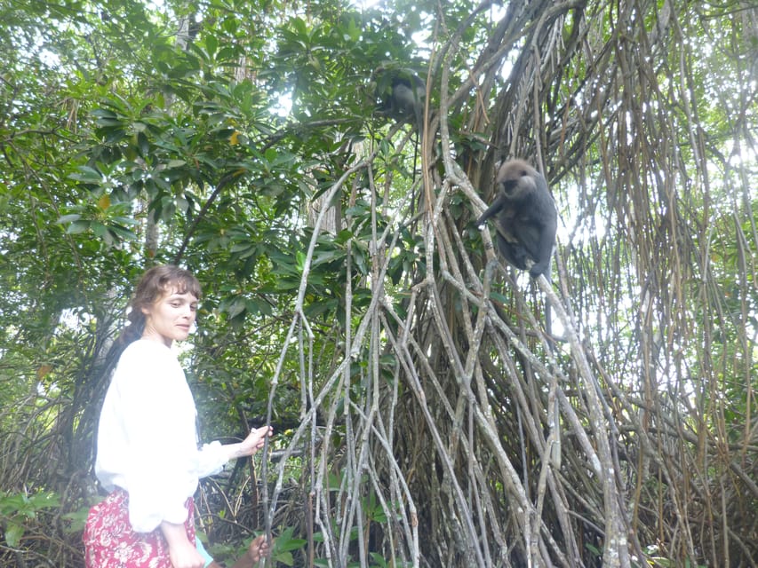 Bentota River Safari, Crocodiles, Monkeys, Mangrove & More - Small Crocodile Encounters