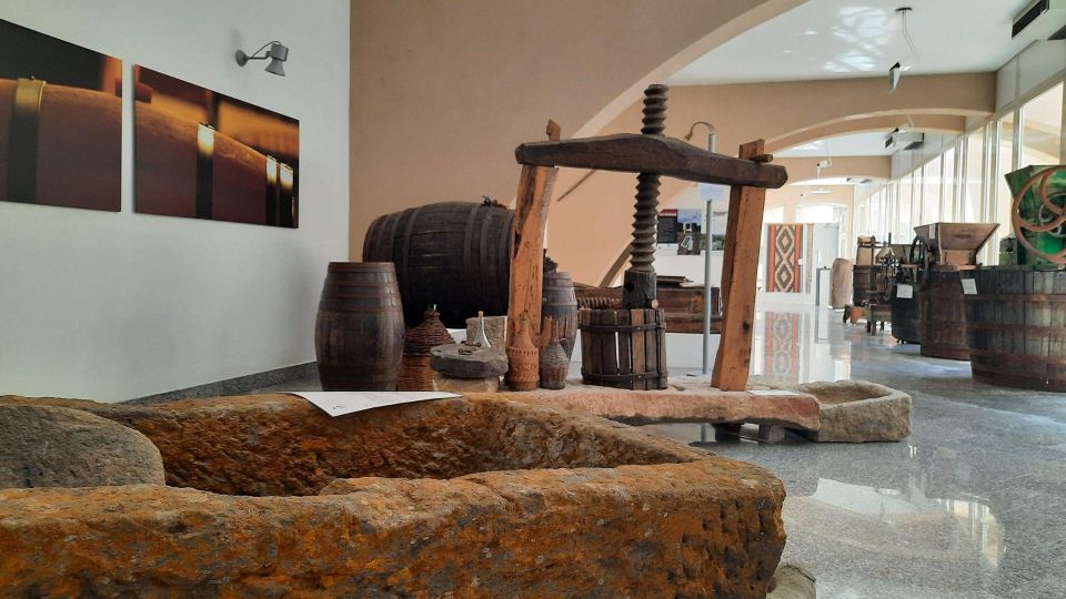 Berchidda: Visit to the Wine Museum With Wine Tasting - Accessibility Features