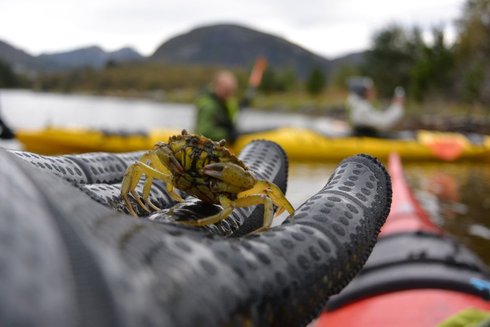 Bergen: Guided Fishing Tour With Outdoor Cooking - Customer Experiences