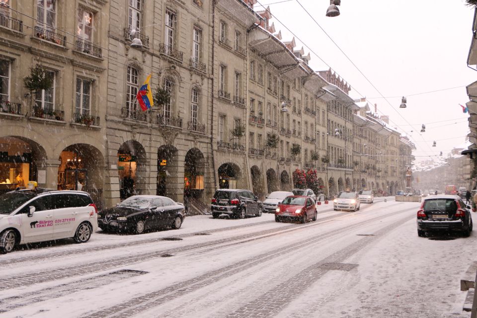 Bern: Private Walking Tour With a Local Guide - Customizable Tour Options