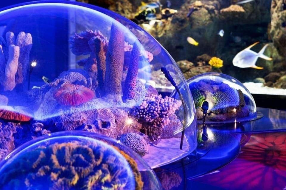 Best of Istanbul Aquarium Tour With Ticket & Hotel Transfer - Booking and Cancellation Policy