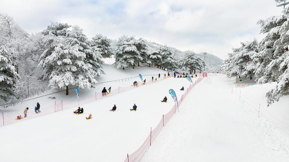 Beyond Seoul: Ski&Sled Adventure at Sono Belle Vivaldi Park - Inclusions and Exclusions