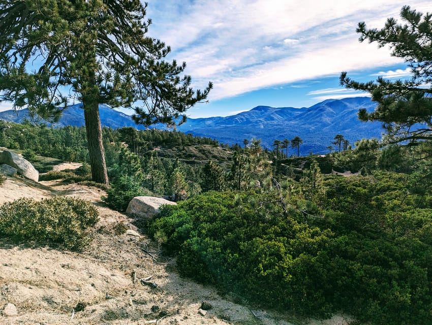 Big Bear: Family-Friendly Nature Walk W Hot Chocolate - Exploring Big Bears Unique History