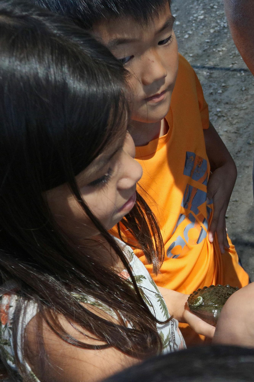 Big Island: Abalone Farm Guided Tour With Tasting - Meeting Point