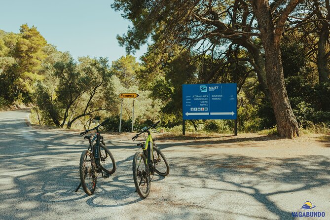 Bike & Boat - From Dubrovnik to Mljet National Park - Crew, Guides, and Amenities