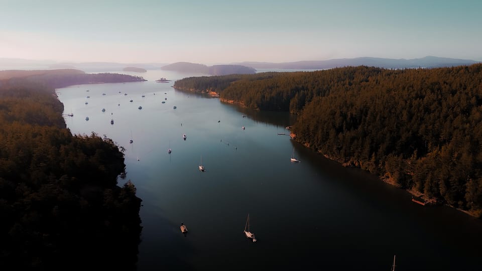 Bioluminescence Night Paddle - Tips for an Enjoyable Experience