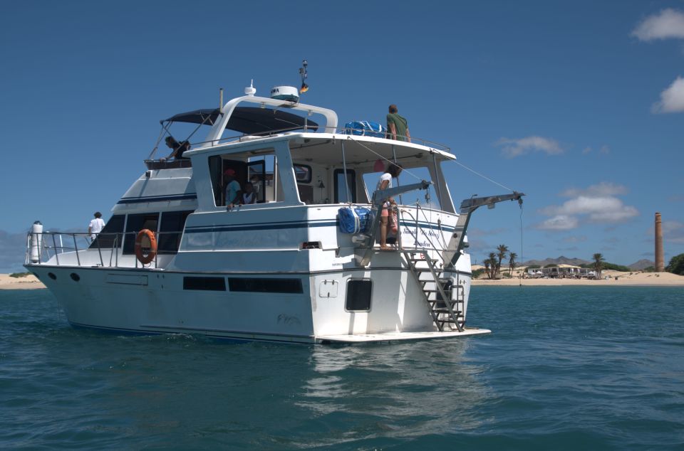 Boa Vista: Whale Watching Trip With Motoryacht - Customer Reviews