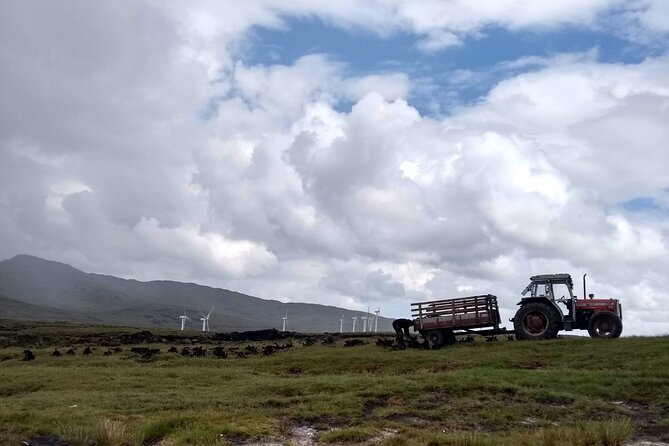 Bog Safari Hike - Cancellation and Booking Policy