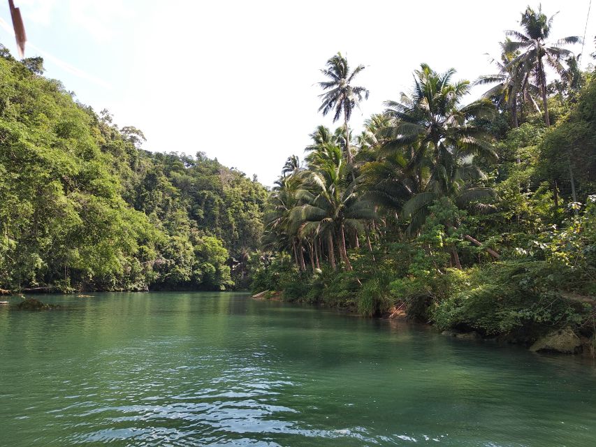 Bohol: Loboc River Buffet-Lunch Cruise With Private Transfer - Customer Feedback