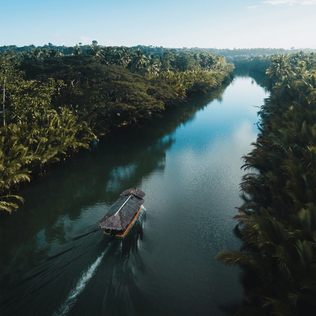 Bohol: Whaleshark + Choco Tour + Rio Verde Lunch Buffet - Accessibility and Recommendations