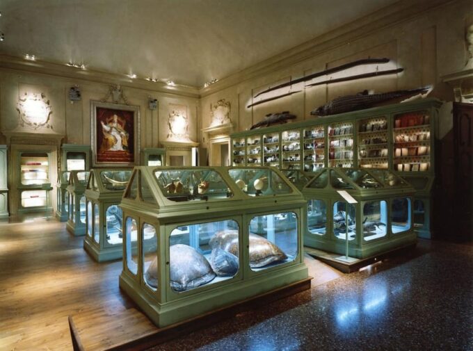 BOLOGNA WATERS and BOLOGNA Dotta: Guided Tour With Breakfast - Frequently Asked Questions