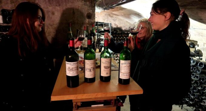 Bordeaux: Vintage Wine Tasting With Charcuterie Board - Tips for an Enjoyable Experience