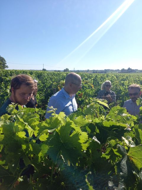 Bordeaux Wine Tours - Recommended Wineries
