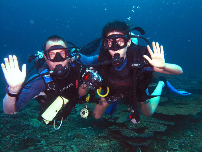 Borneo Full Day Try Dive (2 Dives) for Beginners - Booking and Availability Tips