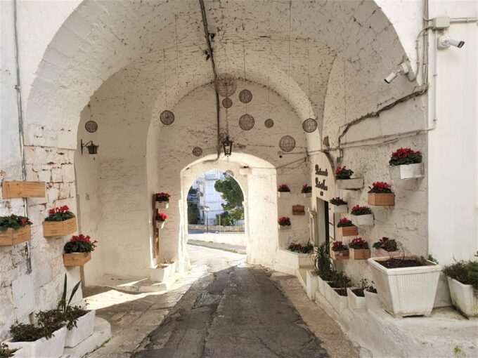 Brindisi: Alberobello, Ostuni Tour for Cruise Ship - Experience and Activities