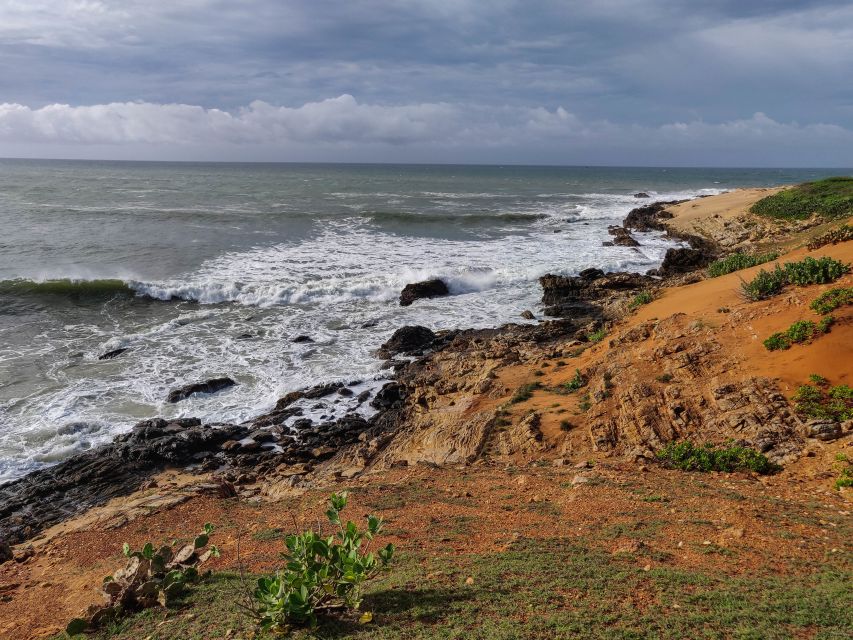 Bundala National Park: 3-Hour Morning or Evening Safari - Free Cancellation Policy