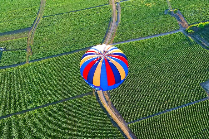Burgundy Hot-Air Balloon Ride From Beaune - Scenic Views and Highlights