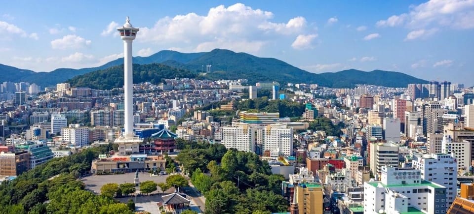 Busan City: Customizable Private Day Tour With Driver - Guided Experience