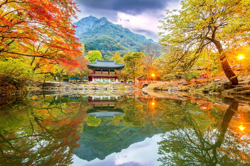 Busan: Naejangsan National Park Autumn Foliage One Day Tour - Tour Duration and Guide