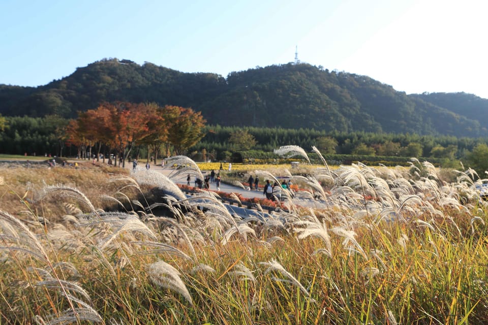 Busan: Ulsan Taehwa River Garden Autumn Foliage Day Tour - Inclusions and Exclusions