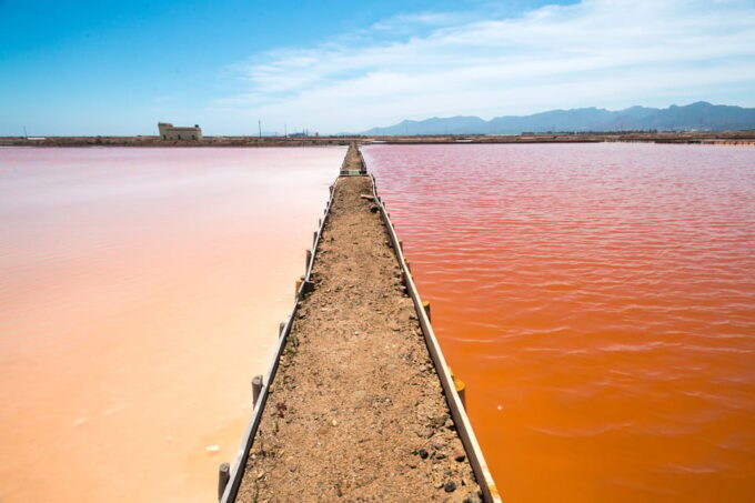 Cagliari: Conti Vecchi Salt Flats Train and Tour - Preparation and Packing