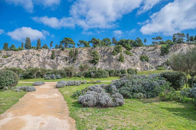 Cagliari Tour: Tuvixeddu Necropolis Archaeological Park - Meeting and Pickup Details