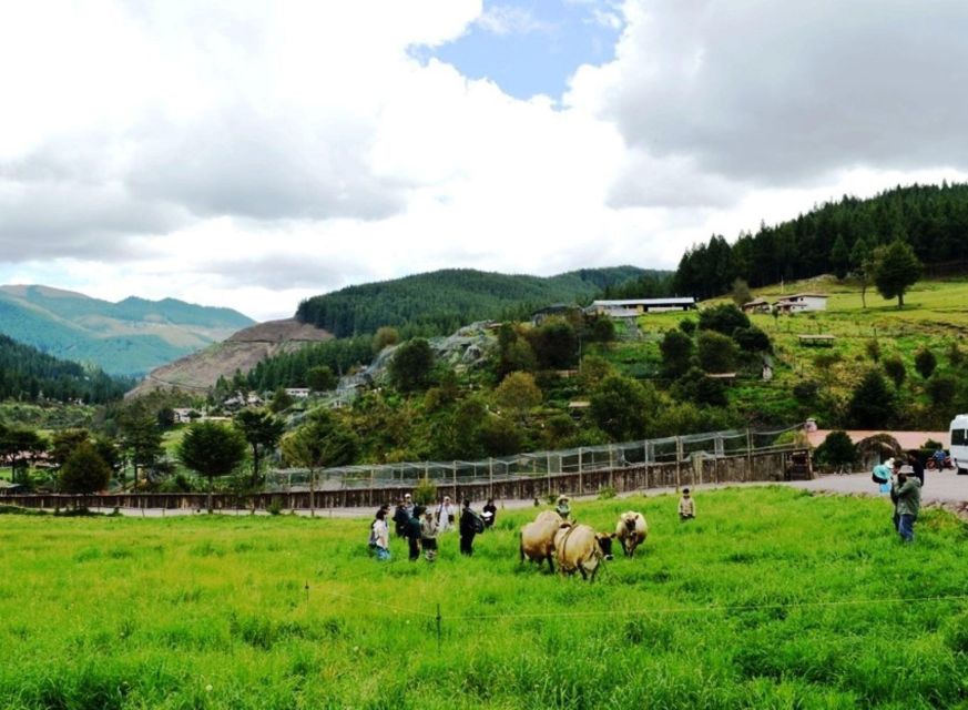 Cajamarca | Porcón Farm and Otuzco | - Frequently Asked Questions