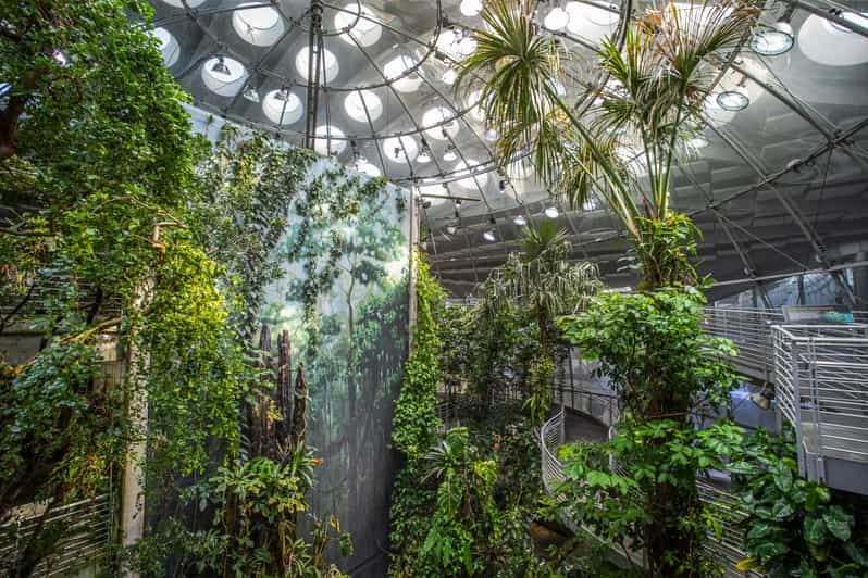 California Academy of Sciences With Golden Gate Park Tour - Meeting Point Details