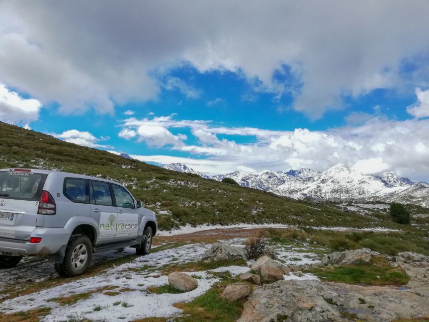 Calvi: Asco Valley 4x4 Day Tour With Guide - Booking Process