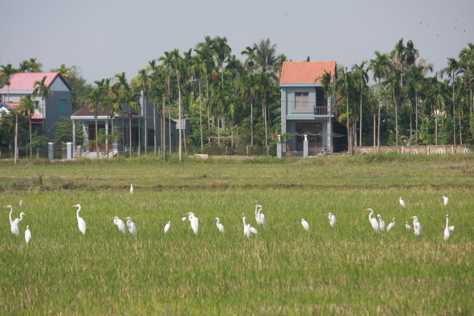 Cam Thanh Bike Tour From Hoi an - Customer Reviews